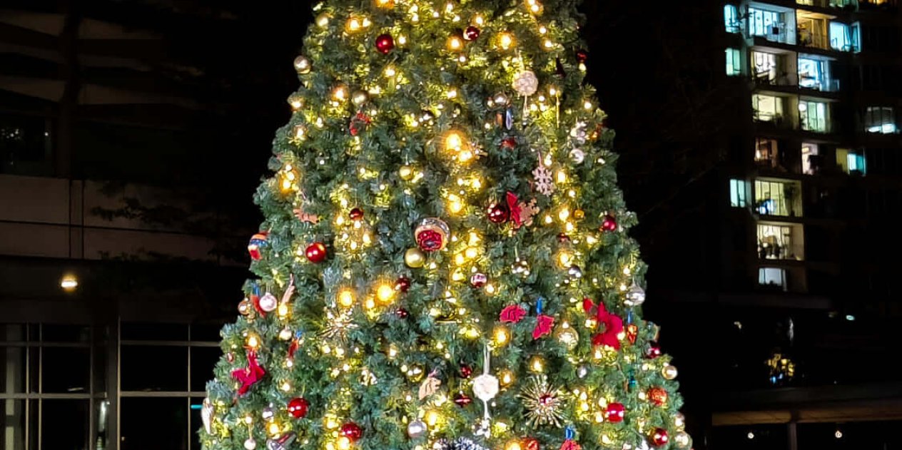 aHR0cHM6Ly93d3cuc2Fpcy5lZHUuc2cvZmlsZXMvdHJlZS1saWdodGluZy1idHMtaGVhZGVyLmpwZz9yTzVnTWdJb3dTY05jMDlVSlJ0cUI5VGVNUmd1aUNmZA