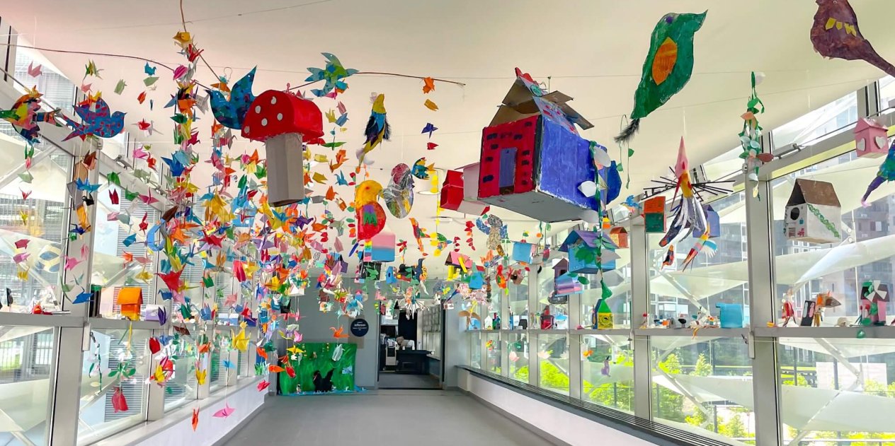 sais-grade-5-aviary-display1