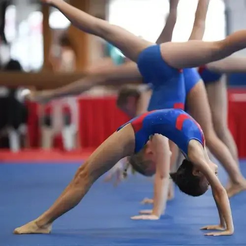 gymnastics academy Gymnastics Academy